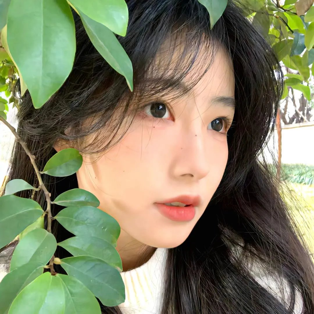 阿丽玛